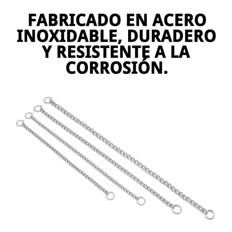 Perro con collar cadena cromada para entrenamiento y paseo
