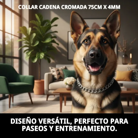 Imagen lateral del collar de cadena cromada para perros