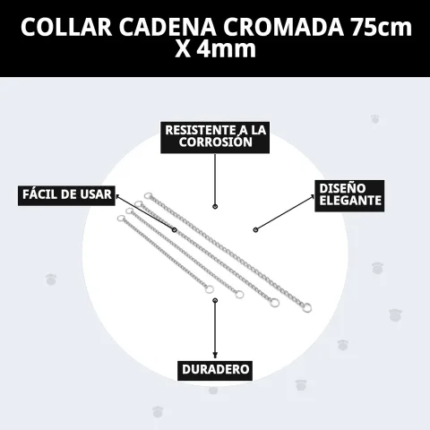 Presentación del collar cadena cromada en caja de Mar Mascotas