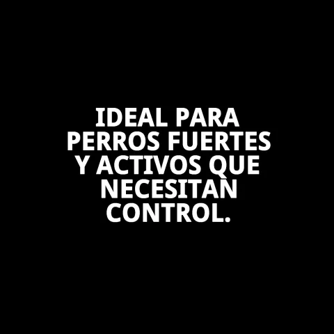 Imagen del collar cadena E.LARGO con fondo blanco