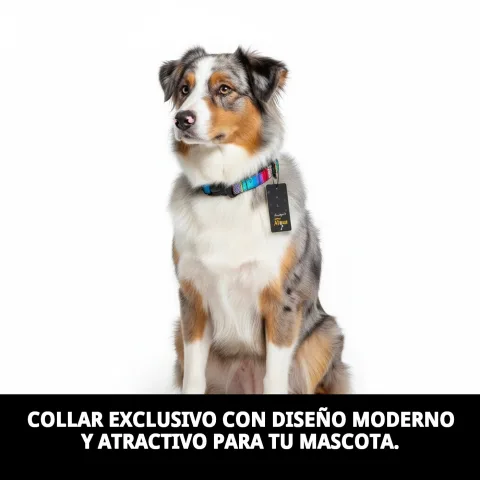 Matériau doux et durable du collier City Fantasia