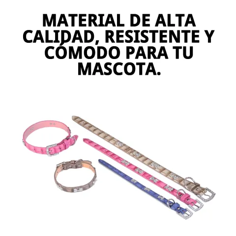 Collar ajustado en cuello de perro pequeño color beige