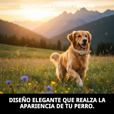 Collar de cuero con hueso colocado sobre superficie neutra