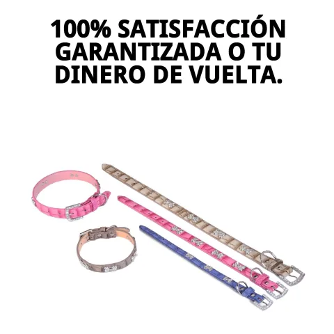 Etiqueta identificativa colocada en collar de cuero para perro