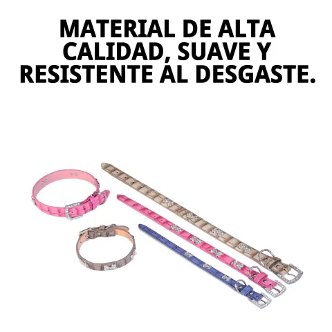 Collar de cuero beige colocado en perro pequeño