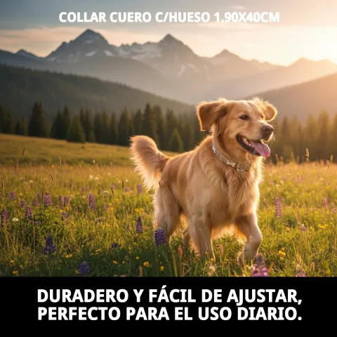 Perfil lateral del collar cuero con hueso beige