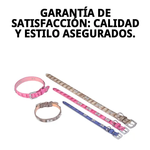 Uso cómodo del collar ajustable para perros