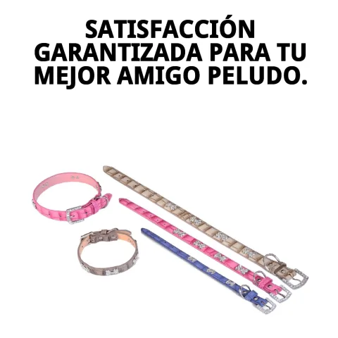 Presentación del collar cuero beige y azul para perros