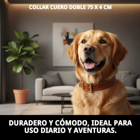 Collar cuero doble mostrando grosor y doble capa