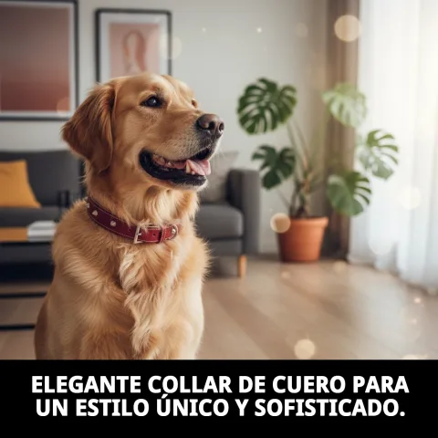 Vista lateral del collar de cuero Forniture en perro
