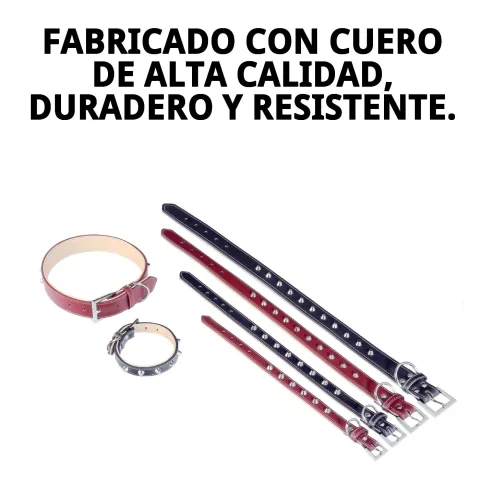 Collar de cuero Forniture en varios colores disponibles