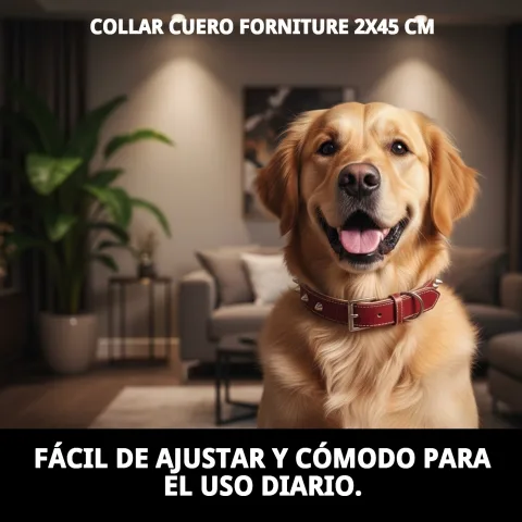 Vista lateral del collar cuero Fornitura 2 cm ancho