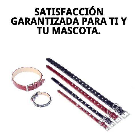 Collar cuero Fornitura en ambiente exterior