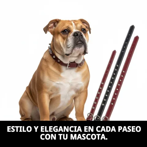 Collar cuero presentación en blister