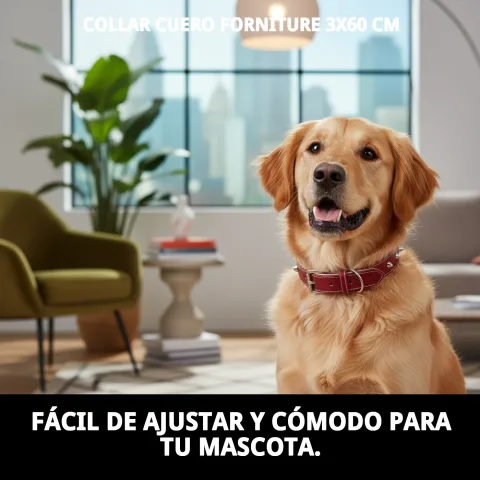Uso del collar cuero en paseo al aire libre