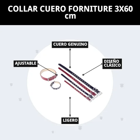 Collar cuero fornitura junto a accesorios para perros