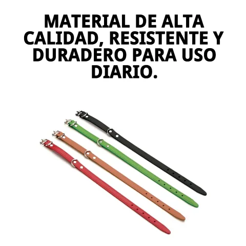 Imagen del collar de cuero liso con fondo blanco para tienda online
