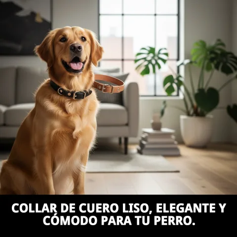 Collar de cuero liso puesto en perro pequeño