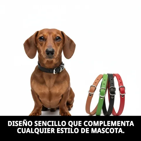 Collar cuero liso mostrando grosor y largura