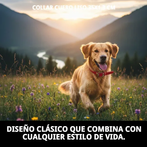 Material resistente del collar de cuero liso