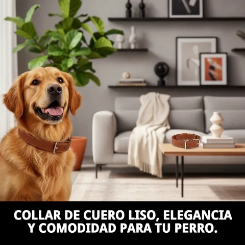 Perro con collar cuero liso 40x1.5 cm en paseo