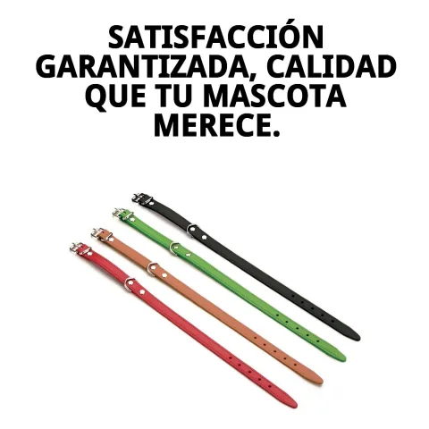 Diseño clásico y elegante de collar para perros