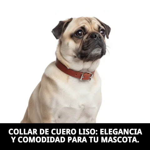 Cierre y hebilla del collar cuero liso 45 cm