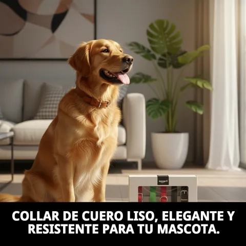 Collar de cuero liso ajustado en cuello de perro