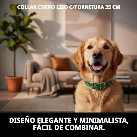 Cierre y ajuste del collar cuero liso para perros