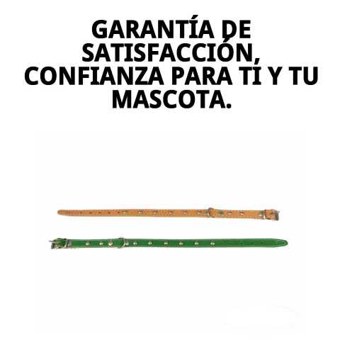Collar cuero liso adaptándose al cuello de perro mediano