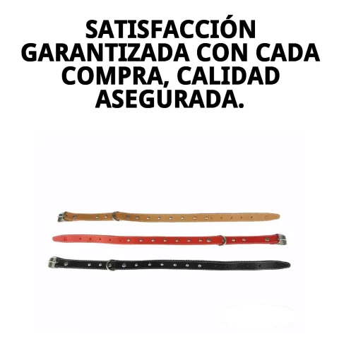 Entretien collier cuir lisse 45 cm avec chiffon humide