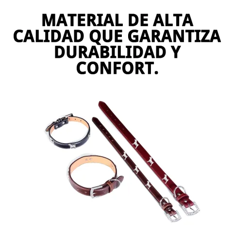 Vista lateral del collar de cuero para perros