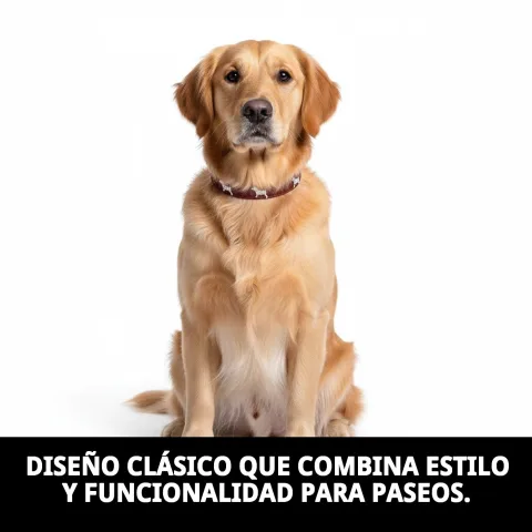 Collar de cuero para perro sobre fondo blanco