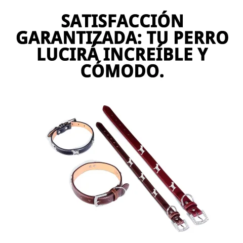 Collar de cuero para perros mostrando su flexibilidad