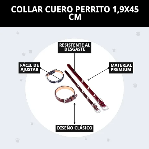 Presentación del collar cuero para perro en Mar Mascotas