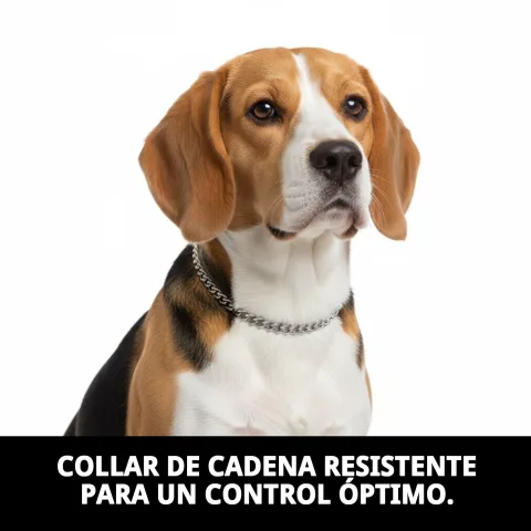 Collar estrang cadena ajustado en perro pequeño