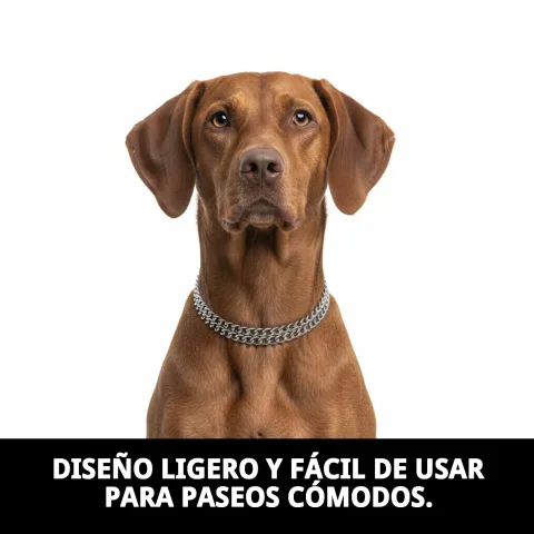 Collar estrang cadena colocado para entrenamiento canino
