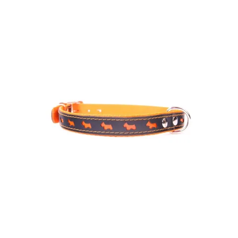 Collar Luxury Reflectante colocado en perro durante paseo nocturno