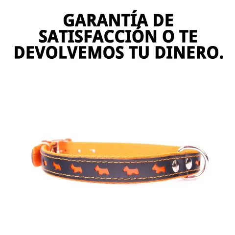 Embalaje y presentación del collar Luxury Reflectante 57 cm