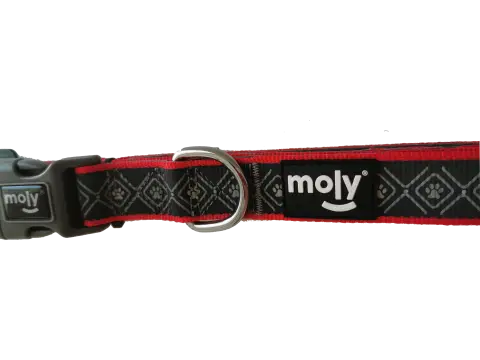 Détail réfléchissant du collier Moly néoprène Rainbow Reflect T-S