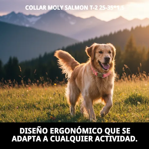 Collier Moly Salmon T-2 couleur saumon pour chiens actifs