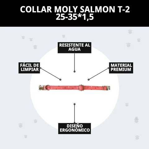 Collier Moly Salmon T-2 en extérieur lors d’une promenade