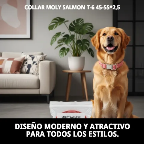 Matériau durable et facile à nettoyer du collier Moly Salmon T-6