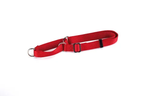 Ajuste del collar nylon en perro durante entrenamiento
