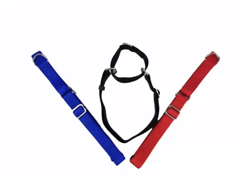 Collar nylon para perros de tamaño mediano