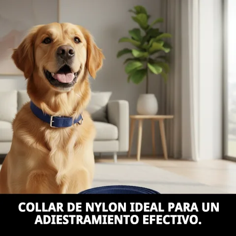 Cierre y hebilla del collar de nylon para adiestramiento
