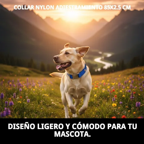 Collar nylon resistente para uso diario y adiestramiento