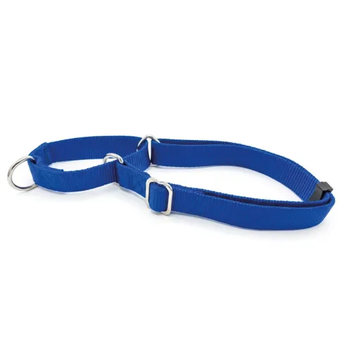 COLLAR NYLON ADIESTRAMIENTO 85X2.5 CM