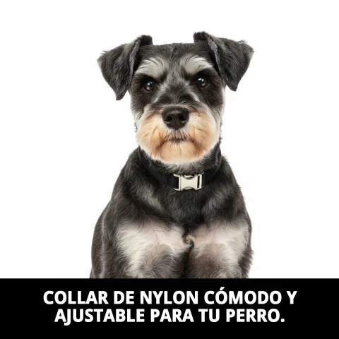 Collar nylon confort ajustado en perro pequeño