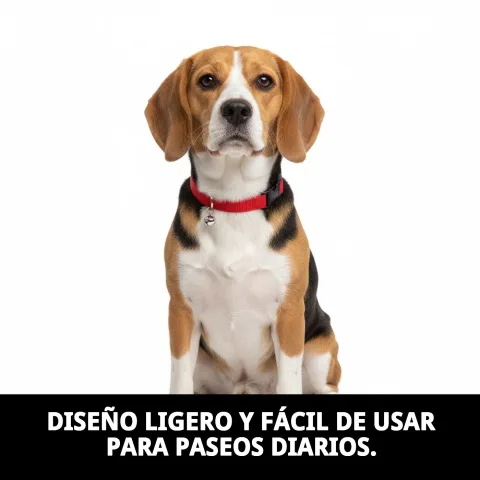 Collar con cascabel para perros medianos en uso durante paseo